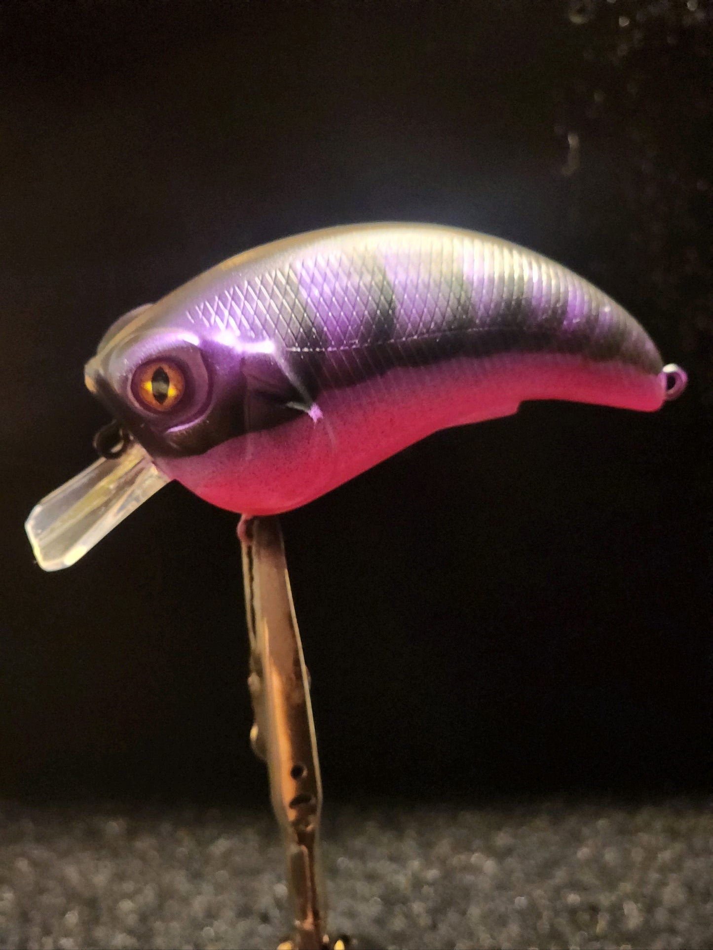 Shallow Crankbait